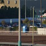 LosAl_Race_0067 (July 26, 2015)